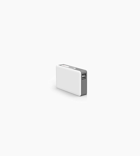 Powerstick powertrip white